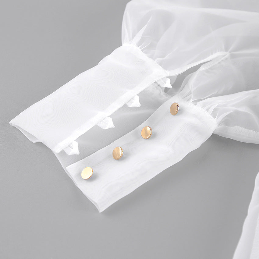 Spring European and American sexy perspective mesh long-sleeved top