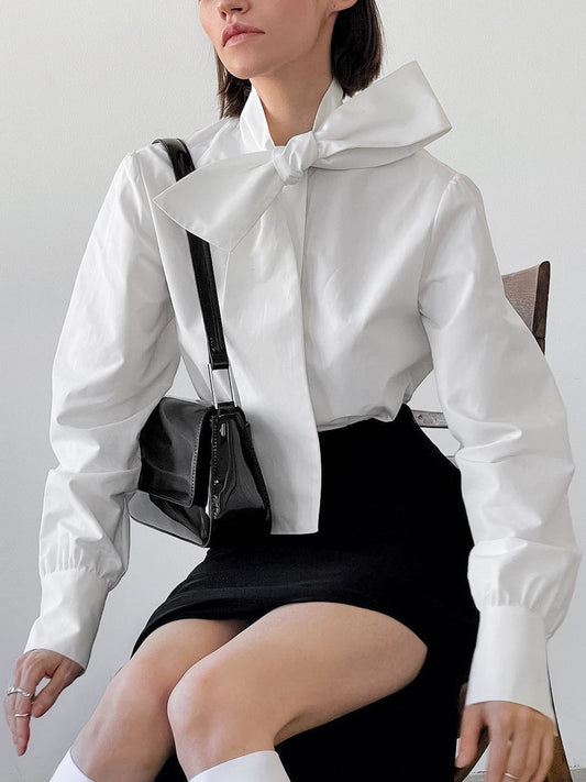 Autumn Fashion All-match Lace-up Loose Shirt