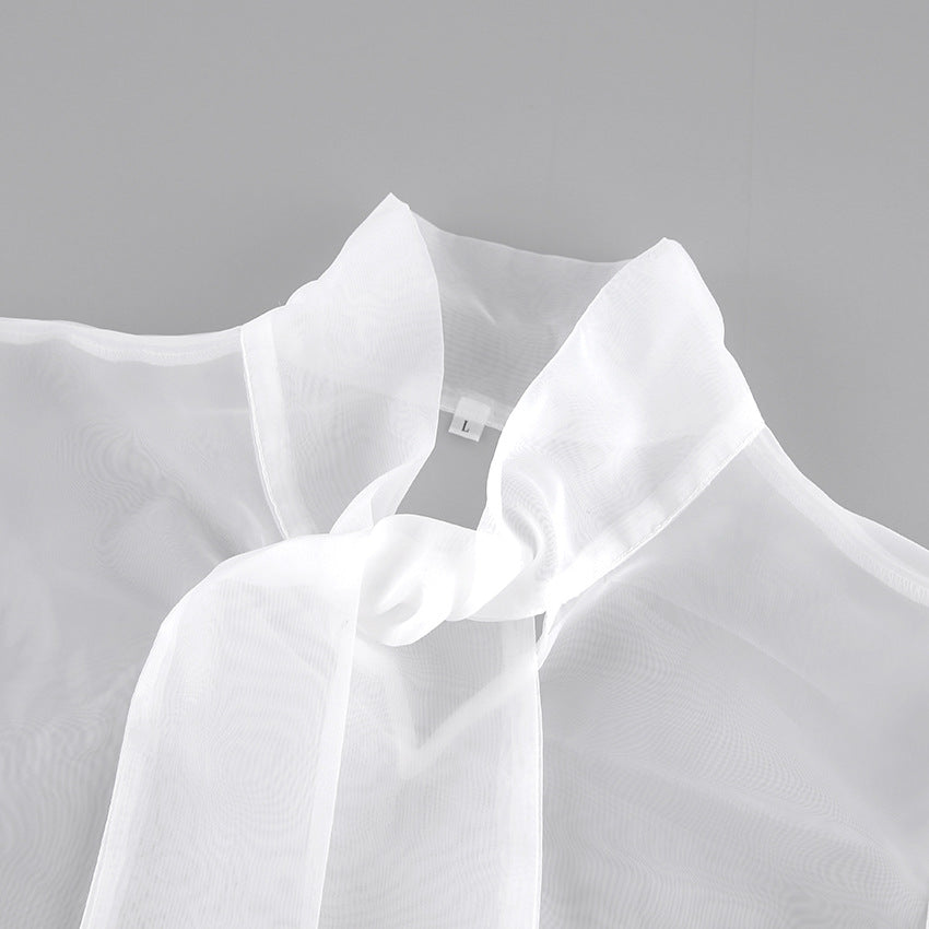 Spring European and American sexy perspective mesh long-sleeved top